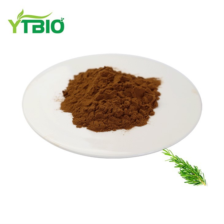 Bulk Ursolic Acid Powder